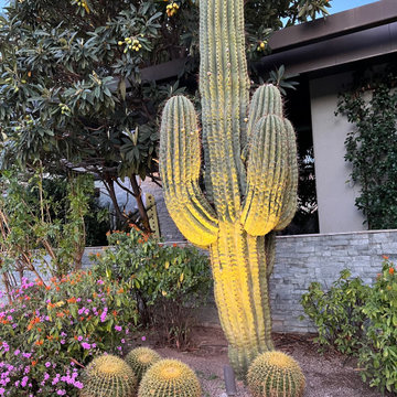 Agave House – Desert Landscape