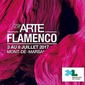 Al ArteFlamenco's photo