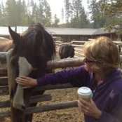Laura Knoop's photo