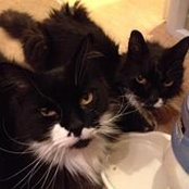 Deirdre Slate's photo