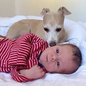 Sheila Stephenson's photo