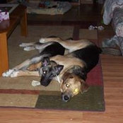 Roberta Carlson's photo