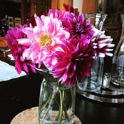 Olga Klahm's photo