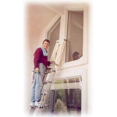 Paneless Window Cleaning