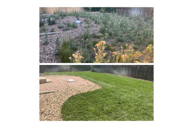 This is an example of a landscaping in Denver.