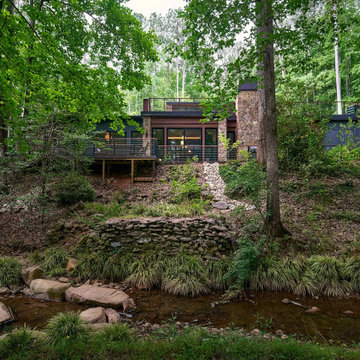 Modern Forest House