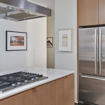 Clean and Modern Home in Bucktown, Chicago