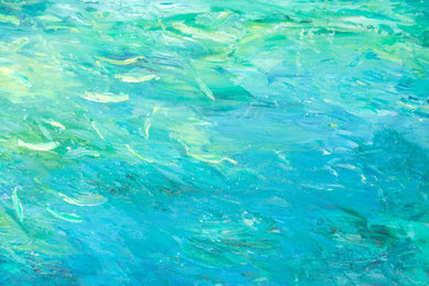 Aqua