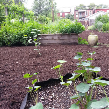 Project Clear Rainscaping Rebate Program