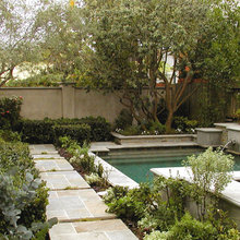 backyard screen