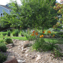 Rock Landscape