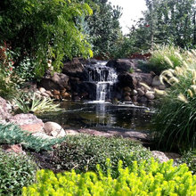 Landscape Ideas