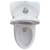 Soft-Close One Piece White Ceramic Toilet LT2T