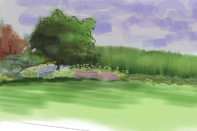 drawings