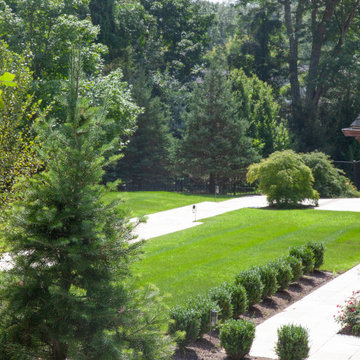 Mature Landscape and Infinity-Edge Pool