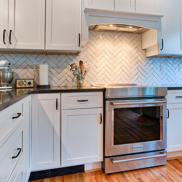 Merion Station Fabuwood Kitchen