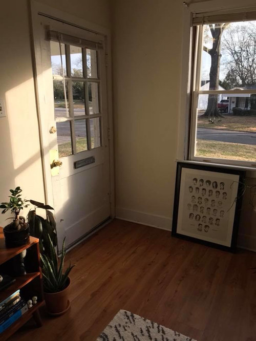 Rubber plant tree wilting but not dying? Help please!