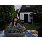 Steffan Hegeman's photo