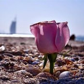 Janat MG's photo