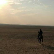 Hassan Hamdy's photo