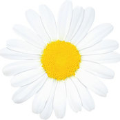 Daisy D.B.'s photo