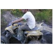 Gavin Lawler's photo