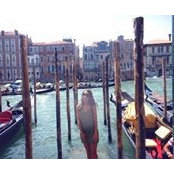 Elena Maleca's photo
