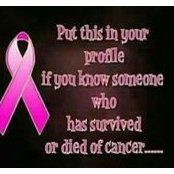 Kathie NScott Gable's photo
