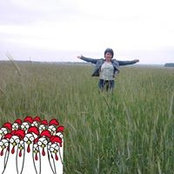 Olga Kovtunenkos foto