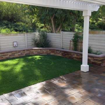 New Backyard Lawn