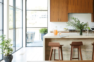 Kitchen - kitchen idea in New York