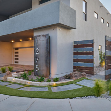 Contemporary Curb Appeal & Outdoor Living