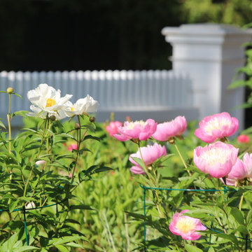 Pool and woodland garden, Cape Cod