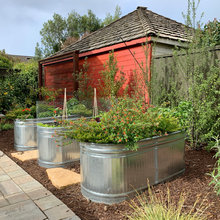 Yard Landscape