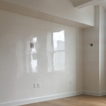 Clean White Venetian Plaster