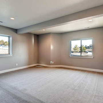 5134 Pine River Trail Castle Rock
