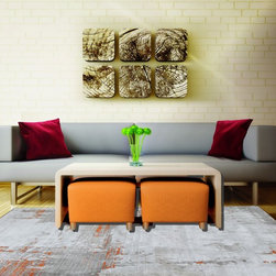 Contemporary Area Rugs - Area Rugs
