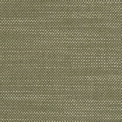 Peyton Moss - Fabric