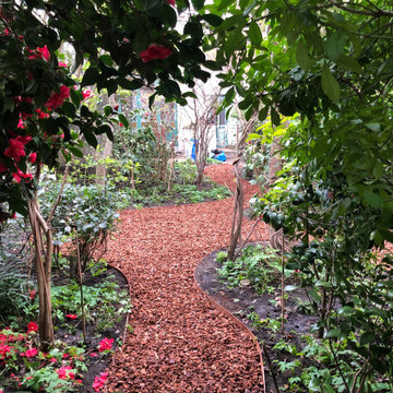 Jardin de 200m2 à Schaerbeek - Arboretum privé