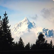Michelle Nelson's photo