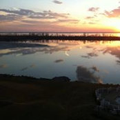 Sylvia Scholler's photo