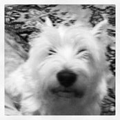 Oleg K's photo