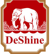 DeShine Technology Corporation's photo