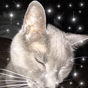 Mary Kittle's photo