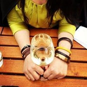 Torre Vi's photo