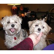 Suzanne Ingham Bobinsky's photo