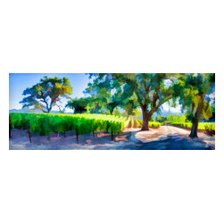 Douglas Page Photographic Arts - Vineyard Lane, Pano, Art, Giclee On Canvas, 18" X 6" - Prints And Posters