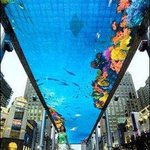 LED Ceiling