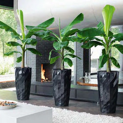 Modern Planter - Products