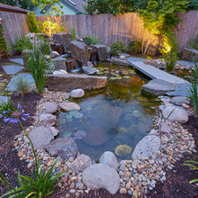 Ponds